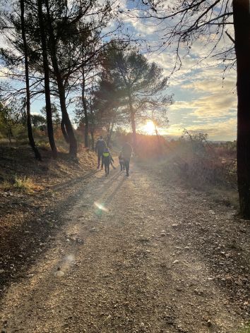 Réflexion sur les&nbsp;fêtes.